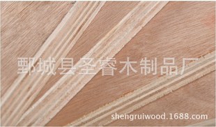 全国招商出厂价批发建筑模板多层木材 全年供应高档清水装饰板材  多层板