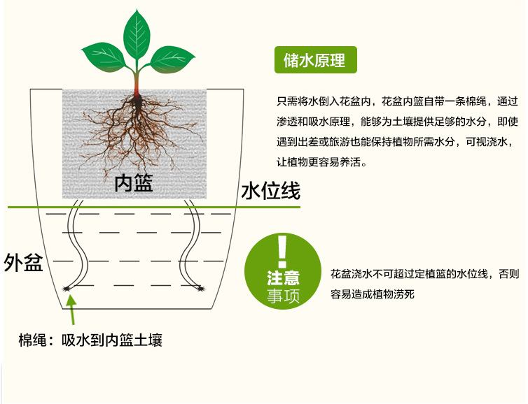 绿植花盆 pp树脂  套餐包植物 半透明花盆 定制蓝 吸水棉绳 一个月不