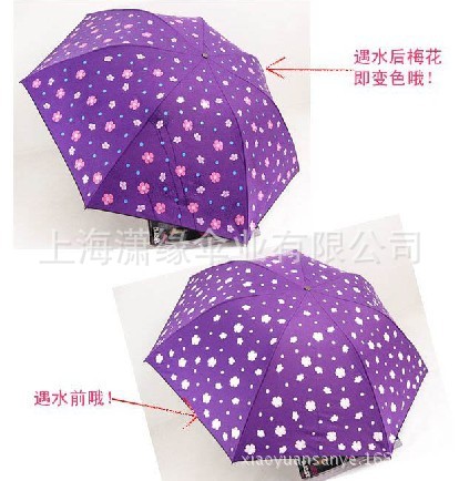 遇水变色伞面2