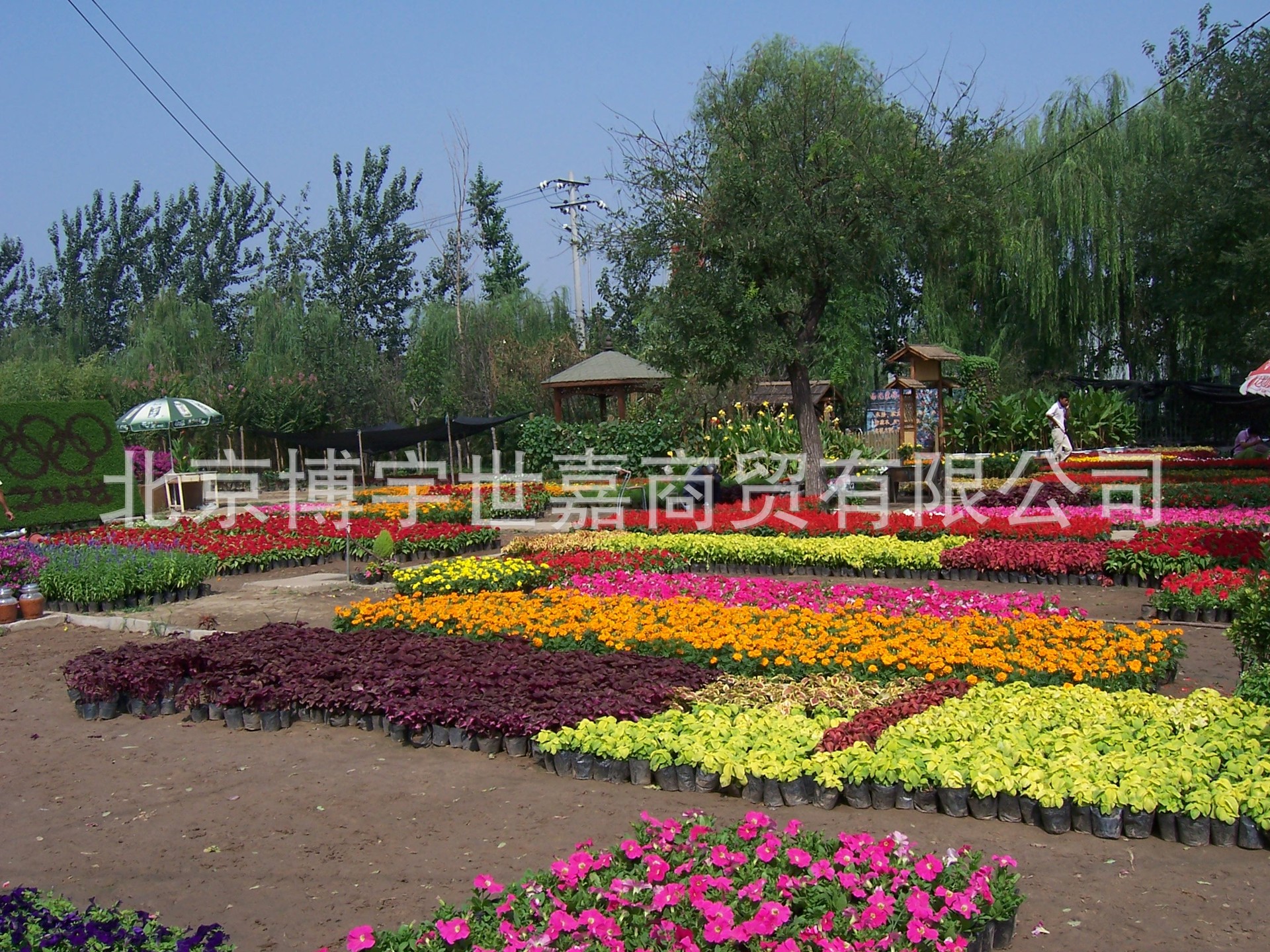 北京绿植租摆 假山水系 绿植墙 节假日花坛花园草坪设计