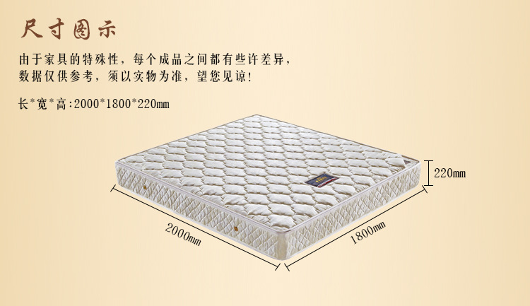 厂家直销 针织面料弹簧椰棕床垫 席梦思弹簧床垫 22cm厚弹簧床垫