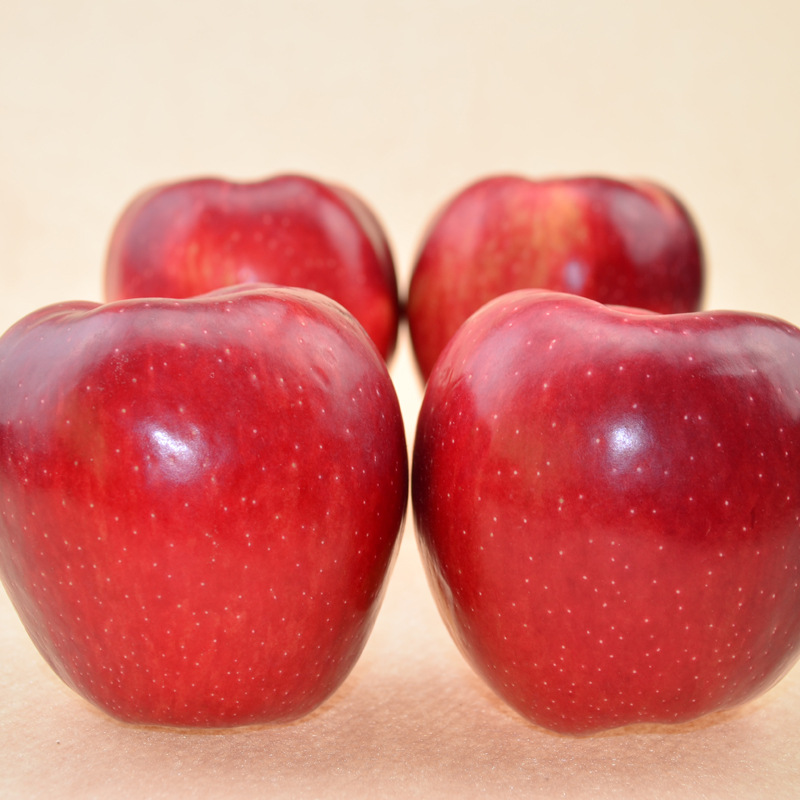北京苹果特产红富士苹果水果 环保生态有机富士水果 酸甜可口