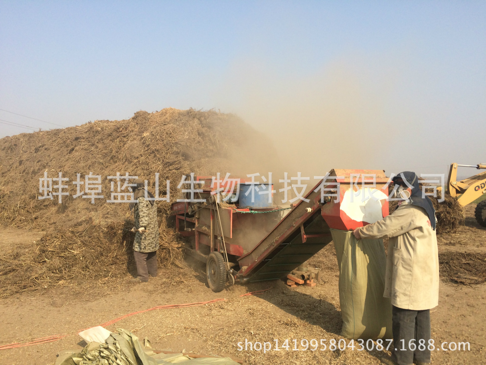 花生秧草粉_花生秸秆 2016新花生秧上市基地