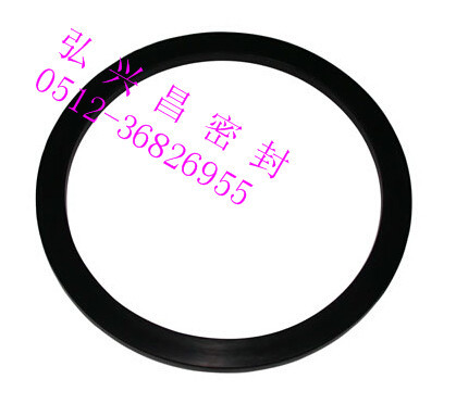 耐磨密封圈