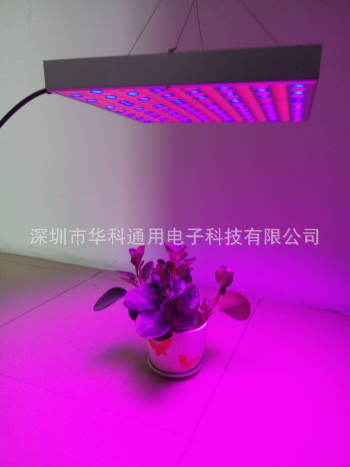 研发led植物灯 14w面板植物led生长灯贴片面板补光灯一件代发