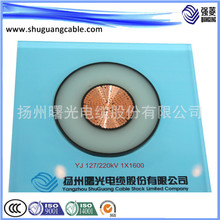 高壓電纜 廠家直銷 220kV銅芯電纜 YJV 1X1600 高壓電力電纜