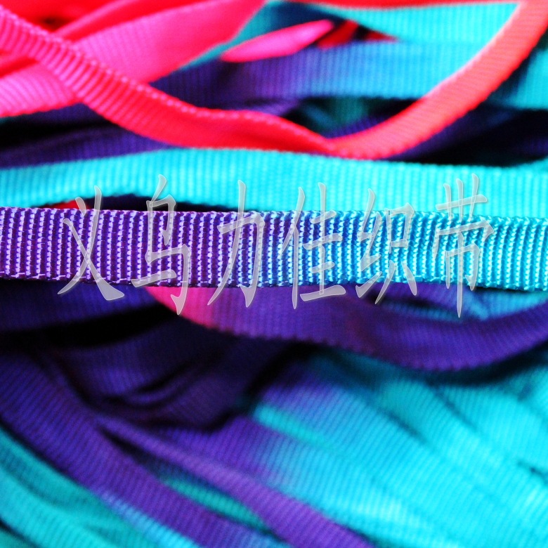 宠物七彩IMG_1115_conew1