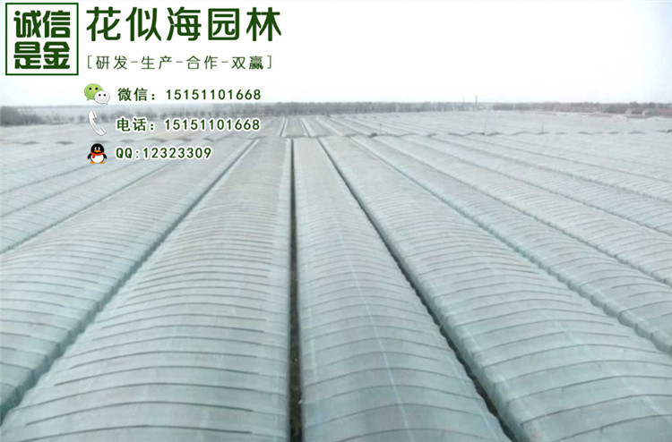 批发优质薄膜 pe膜 大棚膜 塑料无滴薄膜 耐用黑白棚膜 抗氧化