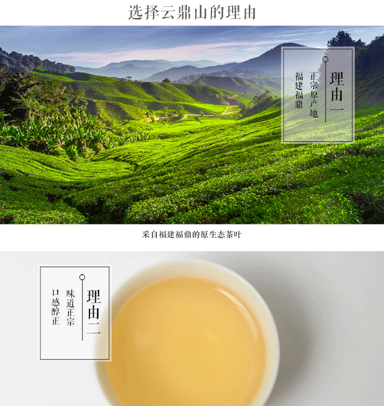 福鼎白茶 云鼎山 茶叶 批发 特级2013贡眉 白茶饼非绿茶安吉白茶