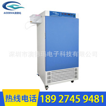 HWHS-150SC恆溫恆濕試驗箱 高低溫濕熱試驗箱 恆溫恆濕箱 150l