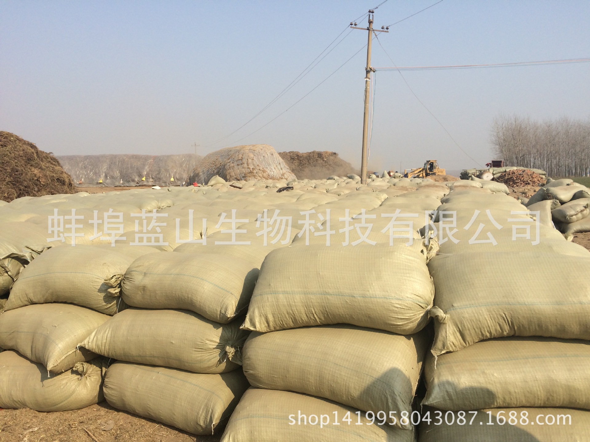 花生秧草粉_花生秸秆 2016新花生秧上市基地