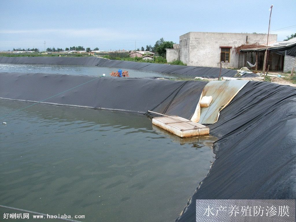 【促销】泰安路德直销300g土工膜HDPE水库0.3mm土工膜