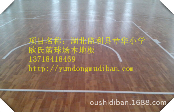 湖北监利县章华小学_副本