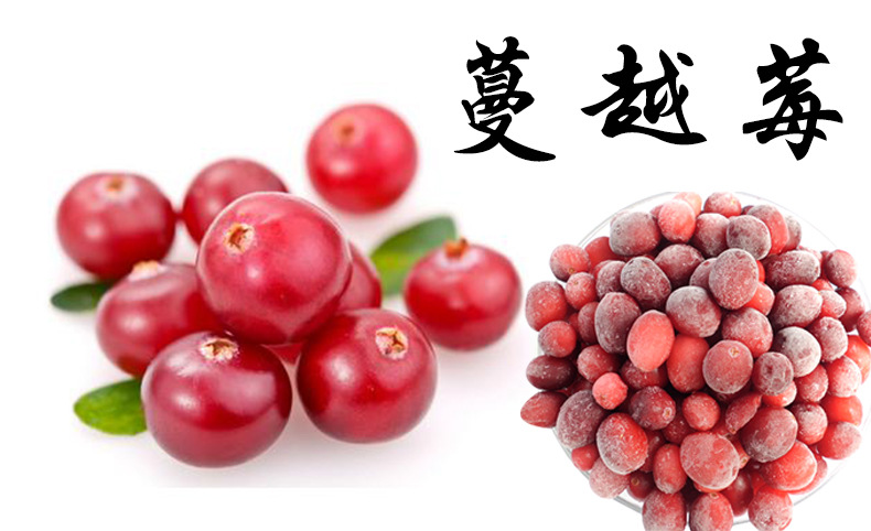 ٶԽݮֱ ɢװٶԽݮ ٶˮڱ׼ 