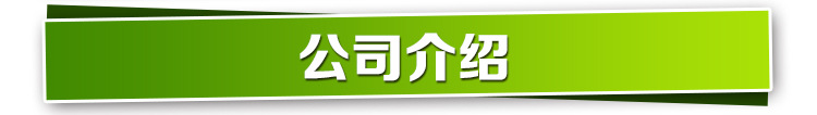 景天内页_06