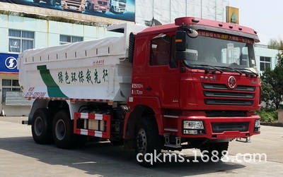 南明自卸式垃圾车LSY5251ZLJSX的图片1