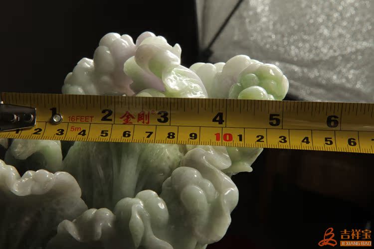 馬上有財(cái) (19)