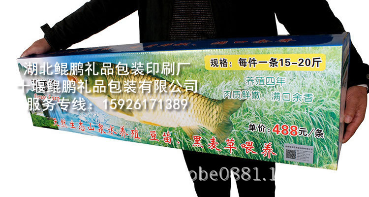 活鱼礼品包装盒3