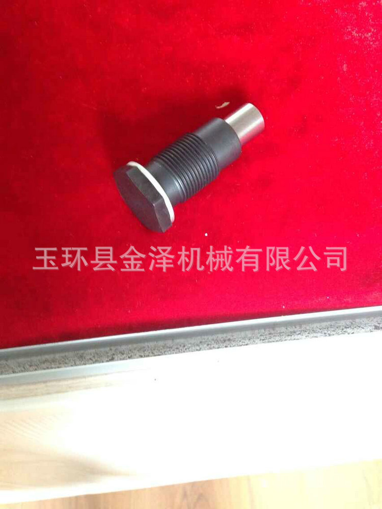 大众迈腾B6  OE06H109467L  26