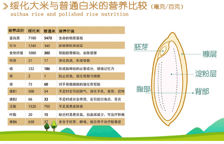 东北大米 有机粞大米 珍珠米5kg 黑龙江大米 批发大米