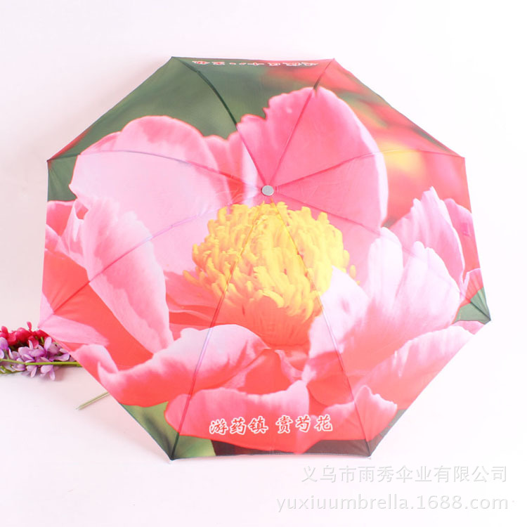 雨秀伞业 yuxiuumbrella