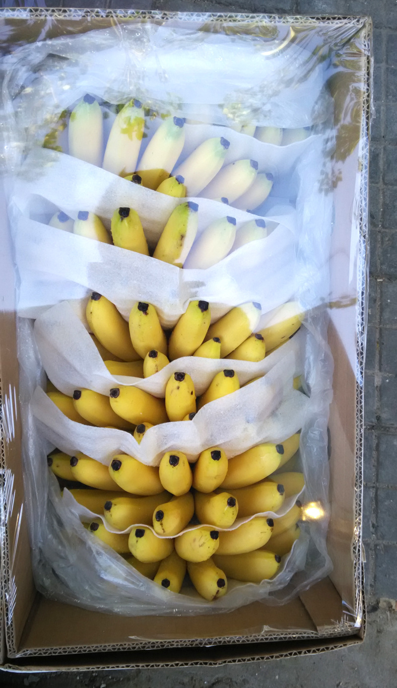 菲律宾进口新鲜水果 香蕉 小米蕉 皇帝蕉 进口水果小米蕉批发17斤
