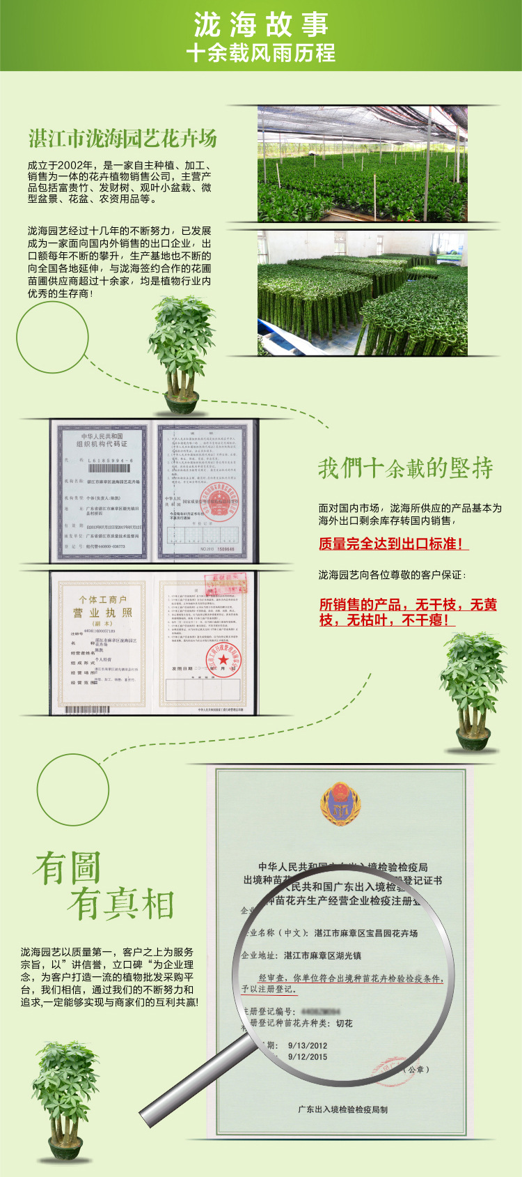泷海故事
