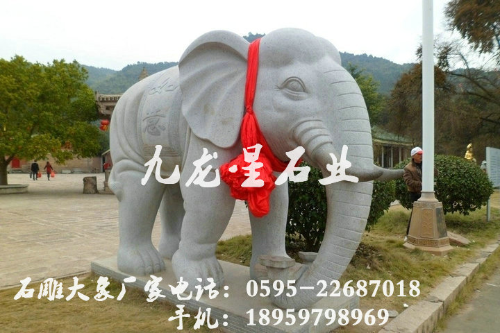 8767076_225303228143_2