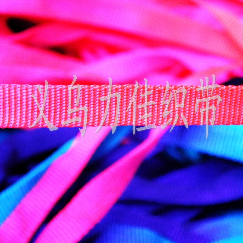 宠物七彩IMG_1113_conew1