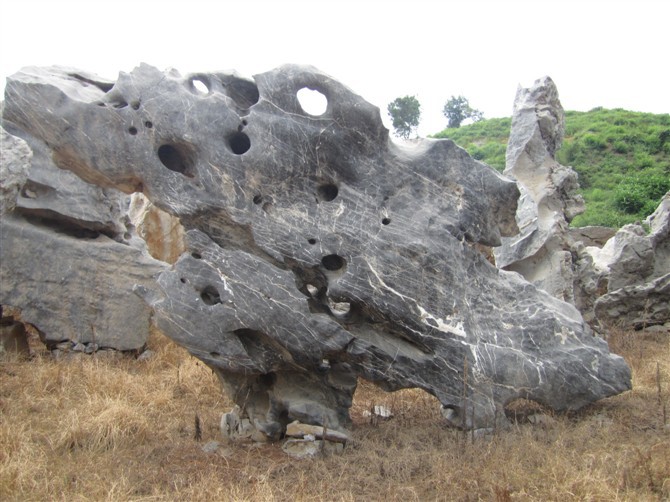 宠物及园艺 园林资材 园林景观石 大型太湖石,太湖石假山石批发,太湖