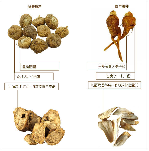 进口秘鲁特级黄玛卡 黄玛卡干果 maca 秘鲁玛卡 滋阴保肾玛卡