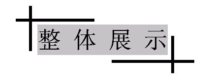 整體展示