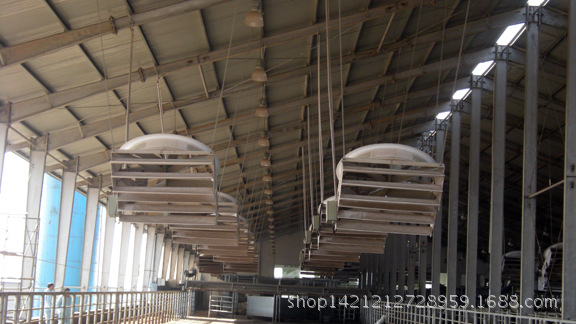 奶牛场现场安装后照片5