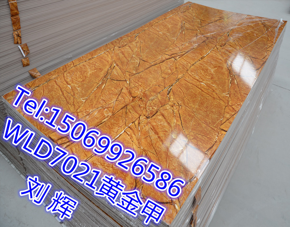 WLD7021 黄金甲_副本