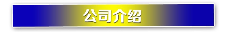 公司介绍