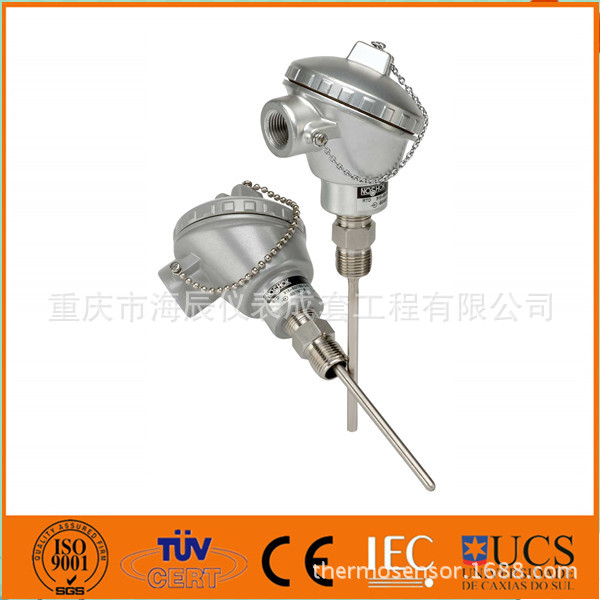 Industrial RTD Probe Type with