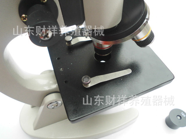 CIMG3350