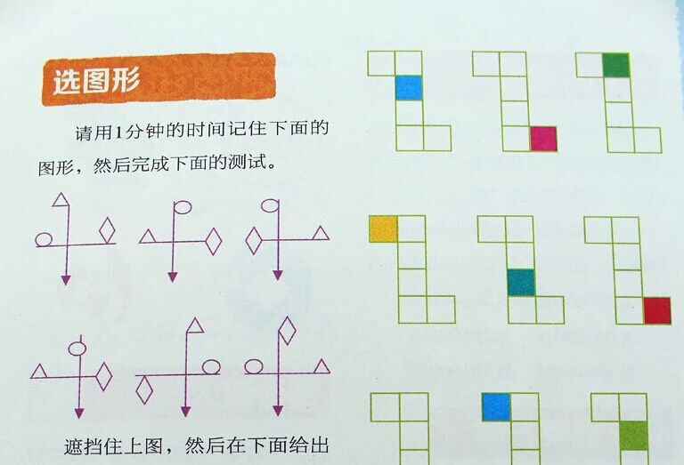 少儿书籍_全脑智力开发 右脑向左转 100hz非常