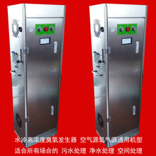 高濃度管道消毒機100g 臭氧發生器 氧氣源空氣源通用臭氧機