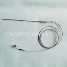 WRNK-191鎧裝熱電偶 熱電阻 溫度傳感器探頭WRNK-391 WZPK-391
