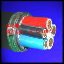 NHKVVP22電纜2×1.5 NHKVVP22耐火電纜2×2.5