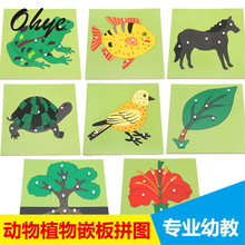 廠家直銷蒙氏拼圖梭利動物植物嵌板拼圖蒙特動植物嵌板拼圖專業版