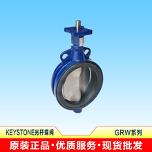 美國凱斯通KEYSTONE中線常溫軟密封氣動蝶閥GRW配F89U氣缸現貨