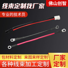 聯接電子線器端子線 電子線束加工定制 可定做DIN/ZIF/1394等連接