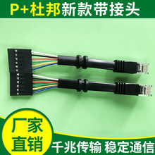 供應 P+杜邦帶線轉接器  帶線網絡插座 連接器