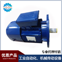 供應意大利邦飛利偏航電機制動電機BN100LA4 LB4 剎車馬達 制動器