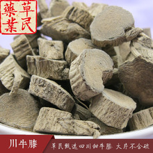 川牛膝精切大片甜牛膝中葯材提取物透骨批發另有冷備葯材量大從優