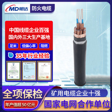 明達定制DJVPV22電纜 銅芯分總屏蔽信號線纜阻燃鎧裝計算機線纜