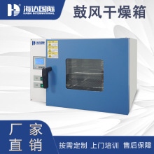 江蘇廠家直銷不銹鋼電熱恆溫烤箱  數顯小型恆溫干燥箱實驗室用