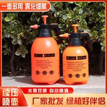 廠家2L3L手持式氣壓式噴霧器噴壺灑水壺澆花壺澆花瓶園藝消毒工具